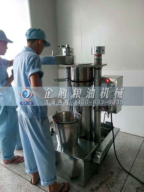 液壓榨油機(jī)